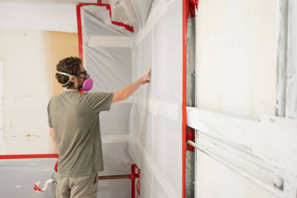 Best Environmental Consulting for Mold Prevention  in Charlotte Park, FL