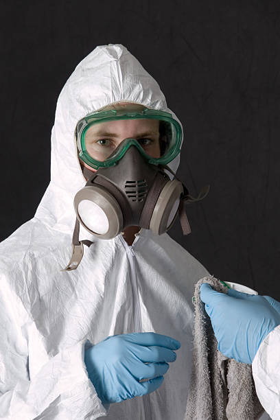 Asbestos and Lead Testing During Mold Inspection in Charlotte Park, FL